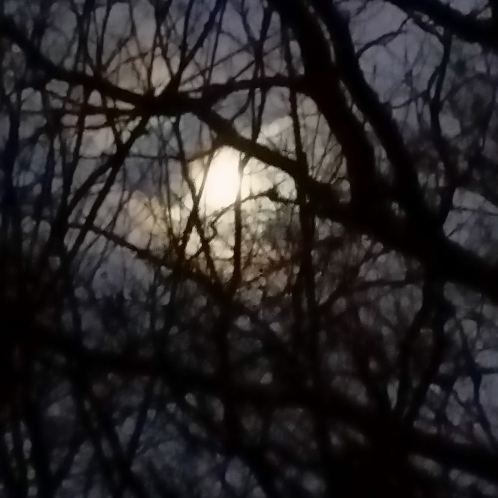 Meet your Posher, Iced